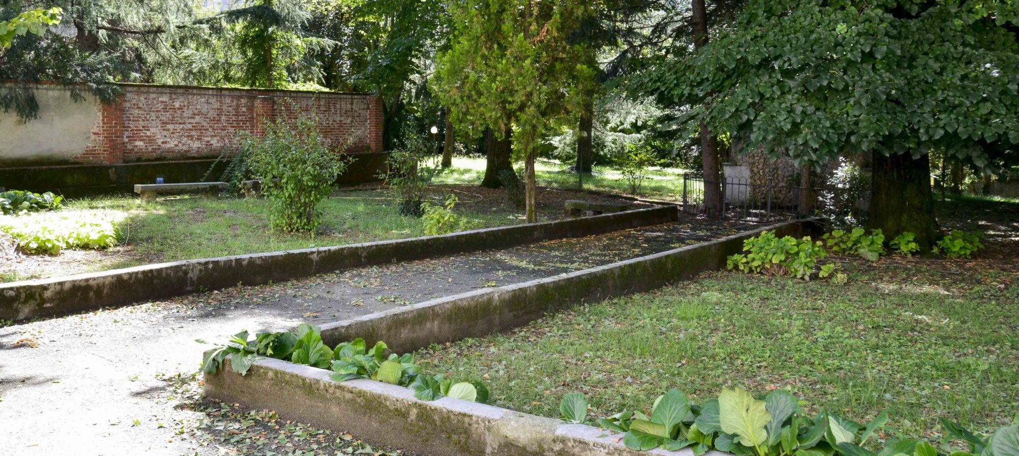 Venerabile Suor Maria Consolata Betrone, Clarissa Cappuccina (1903-1946)