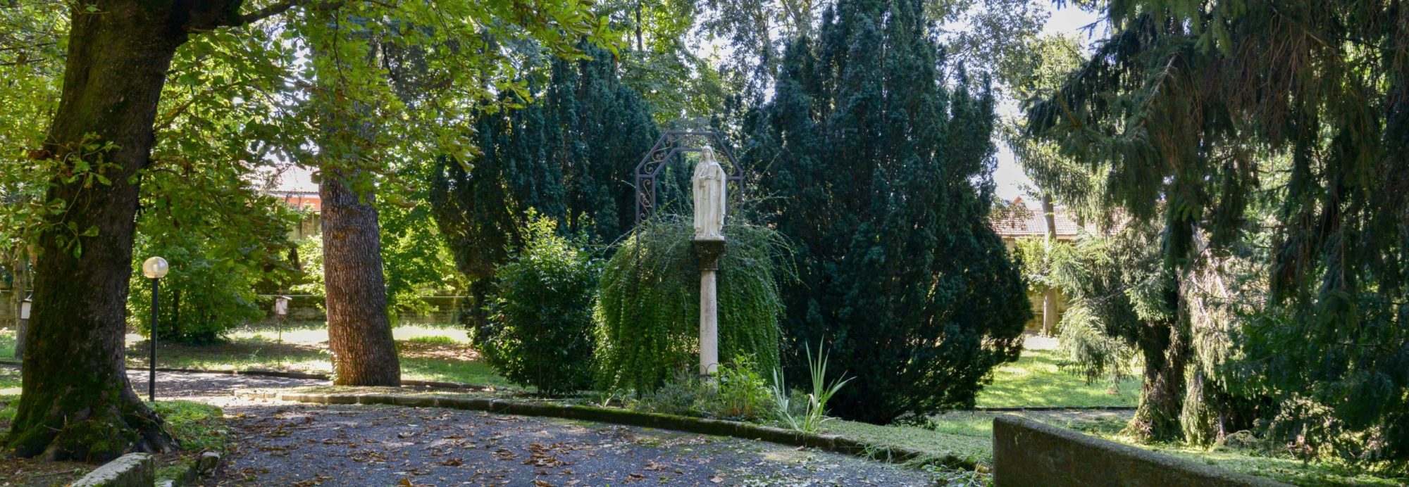 Venerabile Suor Maria Consolata Betrone, Clarissa Cappuccina (1903-1946)